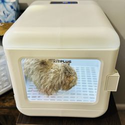 Caja Secadora De Pelo Para Gatos Y Perros Pequeños 🐶😻