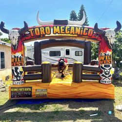 Mechanical bull  red 13x13