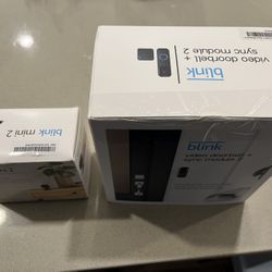 Blink Video Doorbell And Mini 2 Camera 