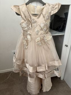 Toddler Fancy Dress Size 3