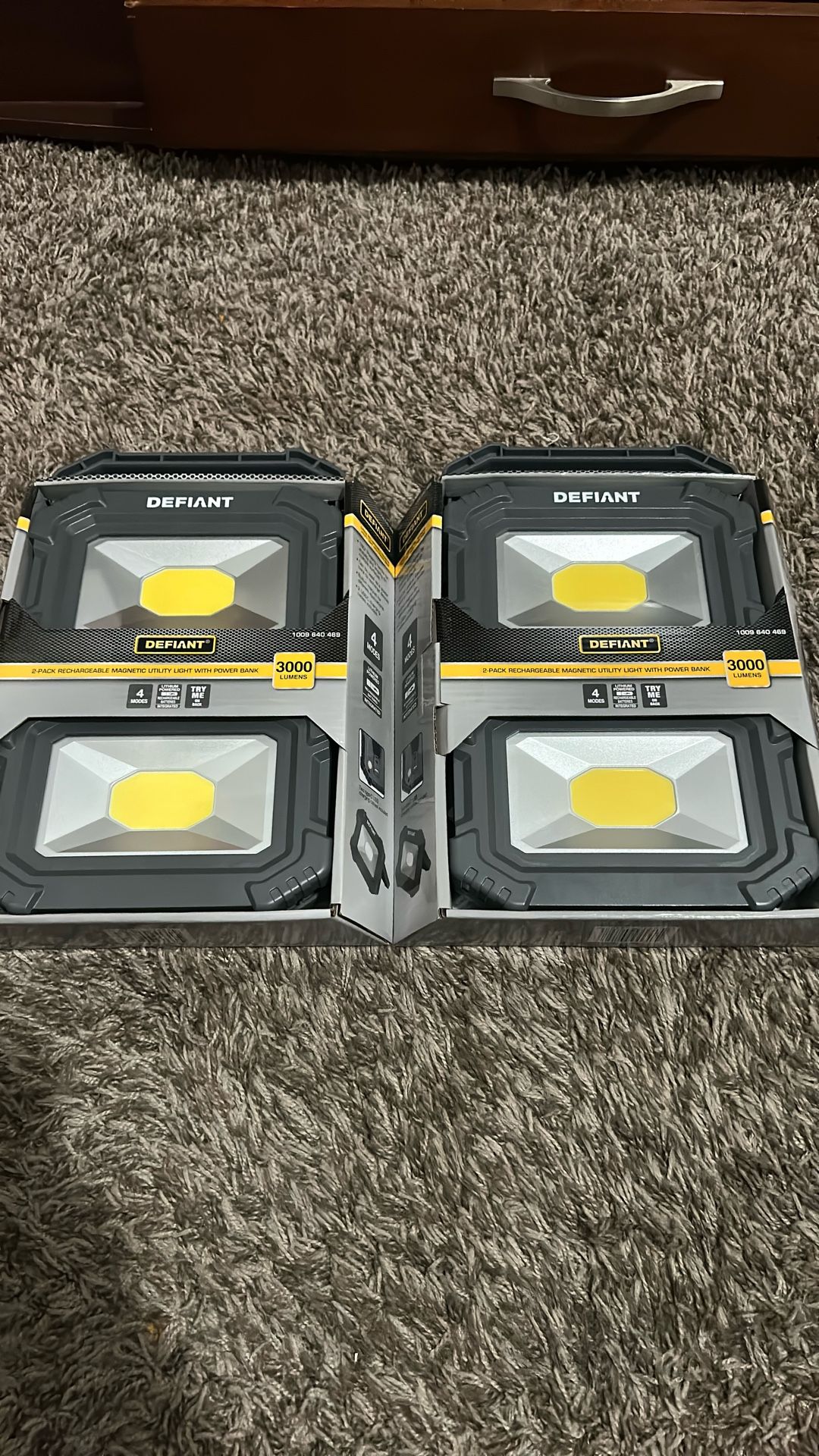 Defiant Lights