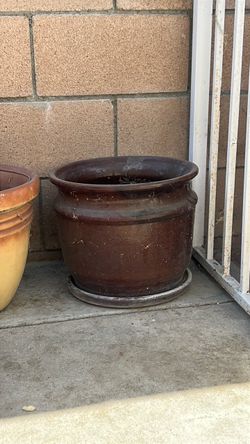 Five dollar pots- large