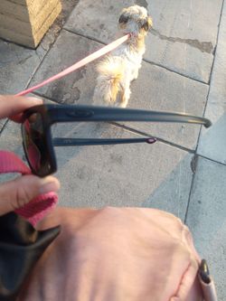 Oakley silver sunglasses