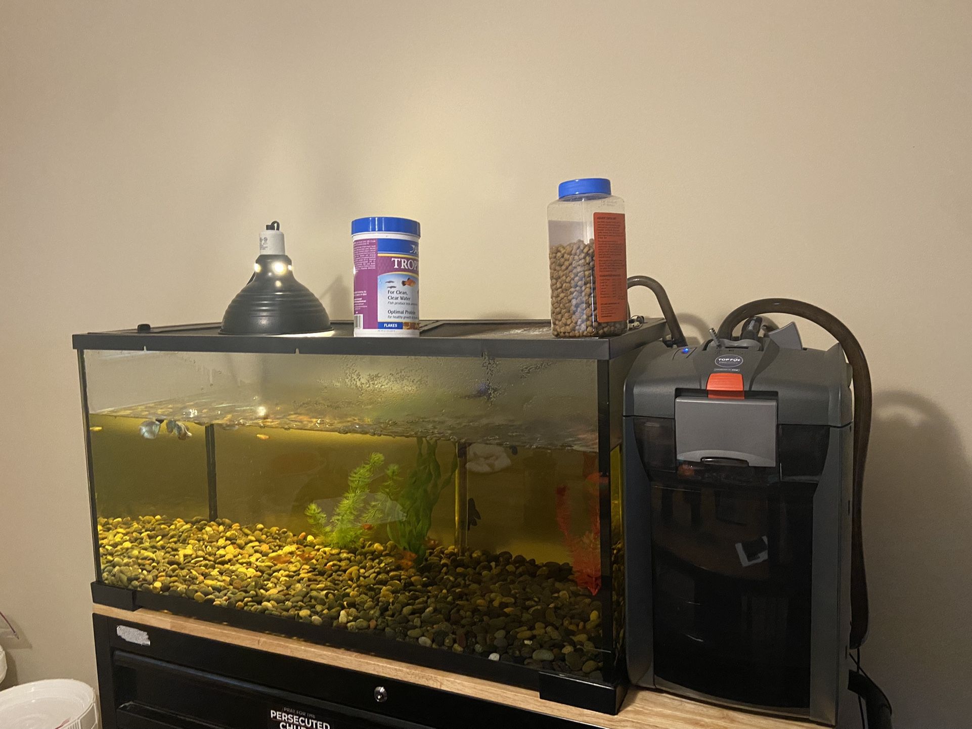 55 Gallon Fish Tank