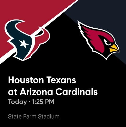 Arizona Cardinals Vs Houston Texans 