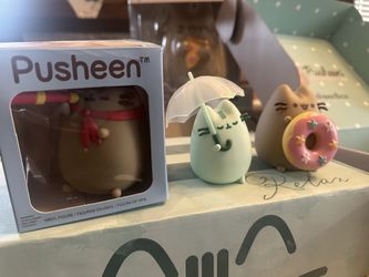 Pusheen Item Bundle