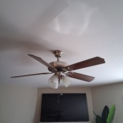 Ceiling Fan
