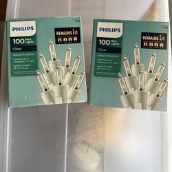 Indoor/Outdoor Lights 