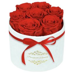 7 Forever Roses in a Luxury Suede Box – The Ultimate Romantic Gift