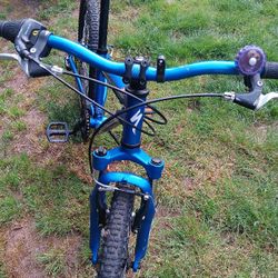 20 Inch Specialized Hotrock 6 Speed. Vacation Use Only Nice Bike