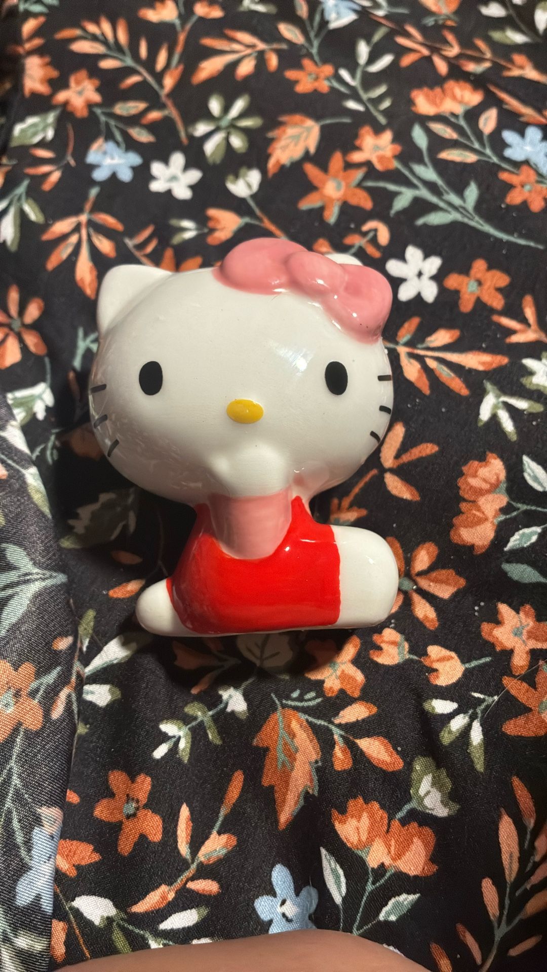 Hello Kitty Seasoning Shaker