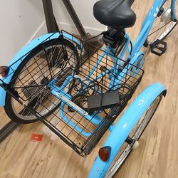 Viribus 24" Adult Electric Tricycle