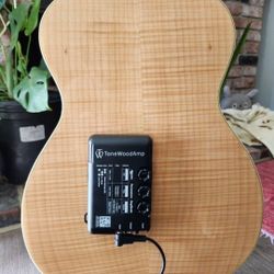 Tonewood  Acoustic Guitar Amp