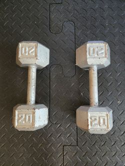20lb Metal Hex Dumbbells