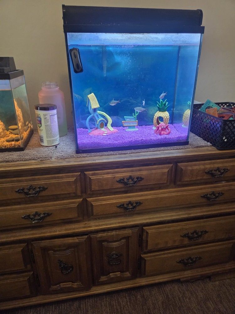 2 Fish Tanks