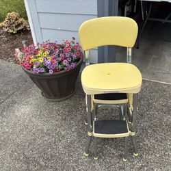 Vintage Cosco Chair
