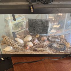 Hermit Crab Tank and Supplies