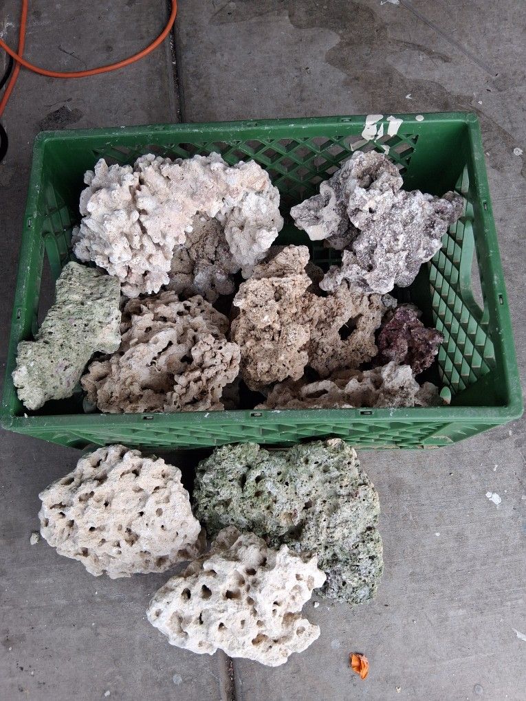 Salt Water Tank Rock