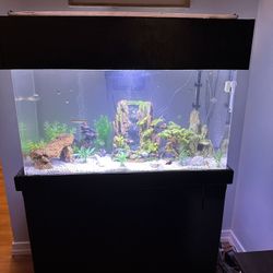 60 gallon acrylic aquarium cheap