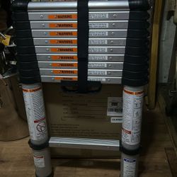 12ft Telescope Ladder 