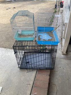 Bird And Rabbit Cages