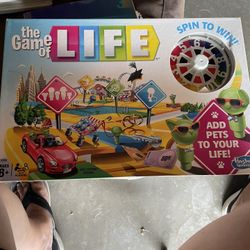 The Game Of Life