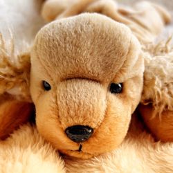 Vintage Ty Beanie Baby Dog Plush Spunky 1997 NWT