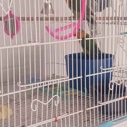 Bird cage/love bird/accessories/medium