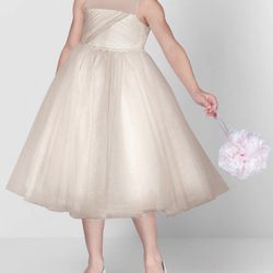 AZAZIE BRIENNE BallGown Sequins Tulle Tea-Length Powder Pink Dress. Size 8