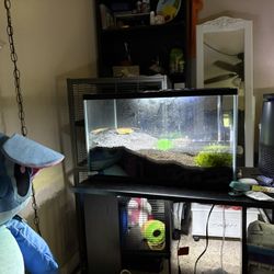 10g Fish tank 