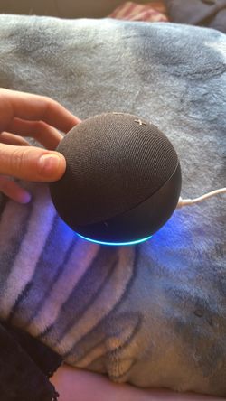 Alexa echo dot