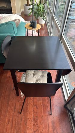 Table and 2 chairs