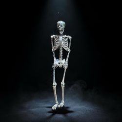 ⭕️ 6ft Life-Size Mirror Ball Skeleton “Shelley The Disco Skelly”