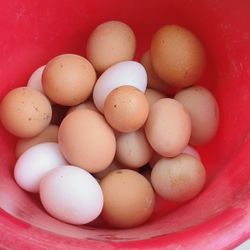 Farm Fresh Eggs