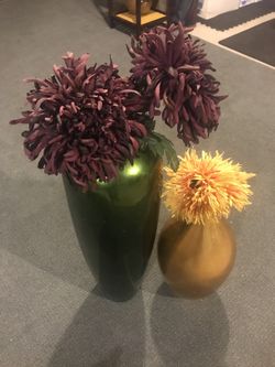 2 Pier One Vases