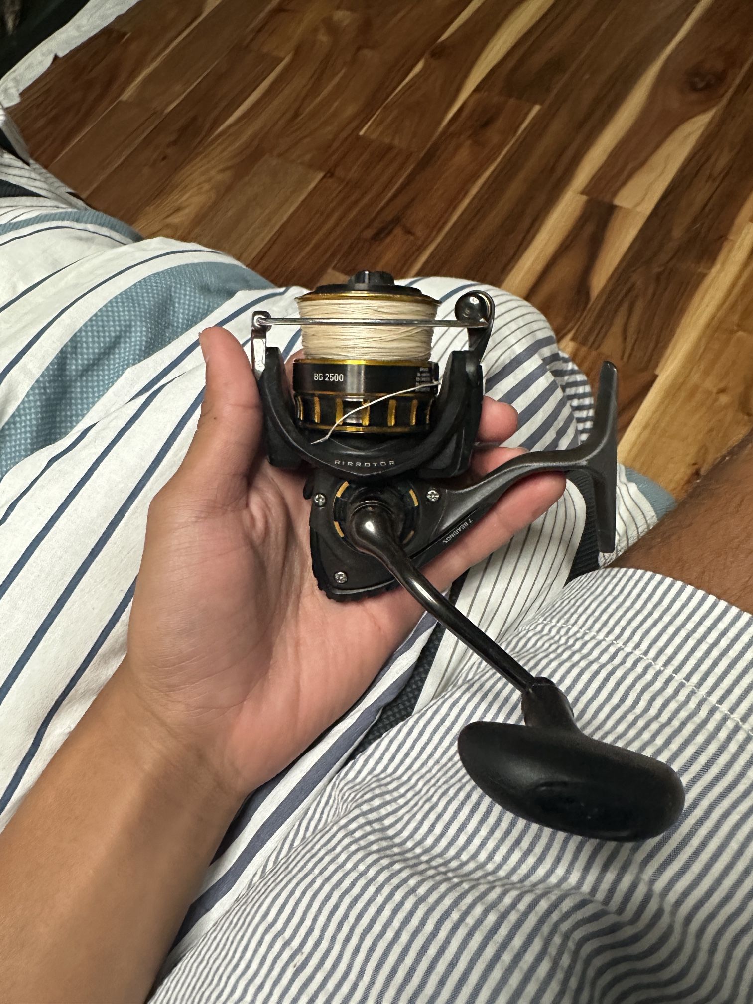 Daiwa BG 2500
