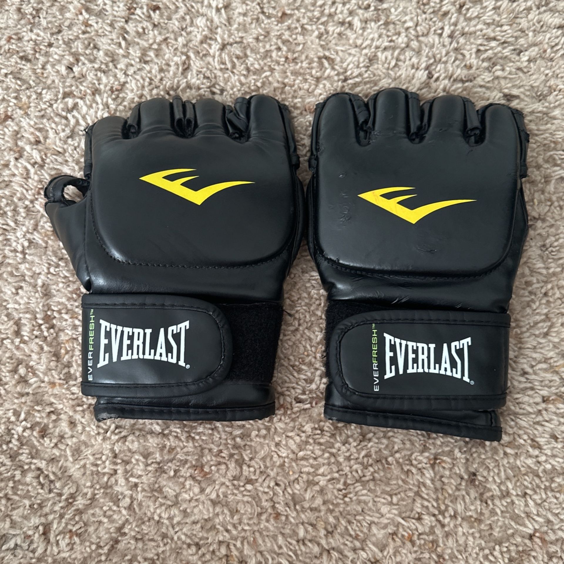 MMA EVERLAST GLOVES