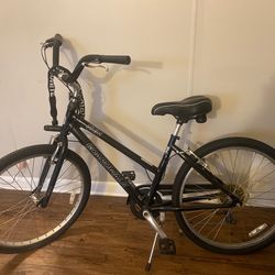 Woman’s bike cruiser