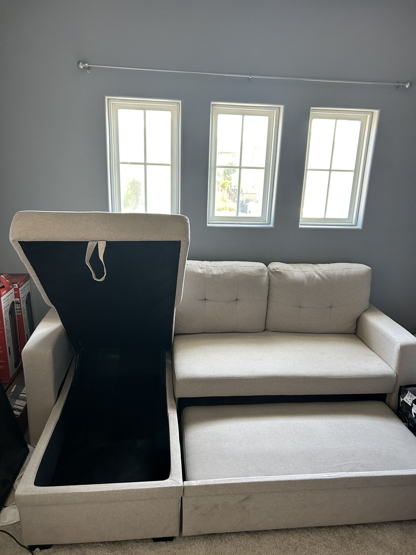 Couch/ Sleeper Sofa