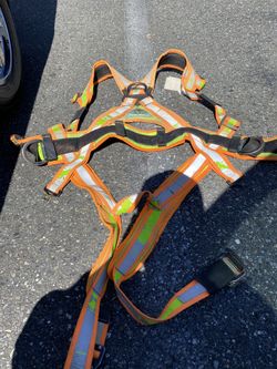 Harness