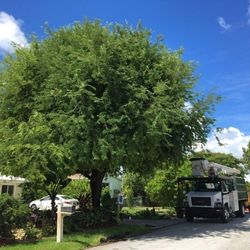 Tree, Arboles ,Pump, Sprinkler, Driveway, Parqueo 