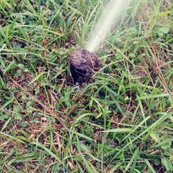 Sprinklers/timmers/valves For Sale