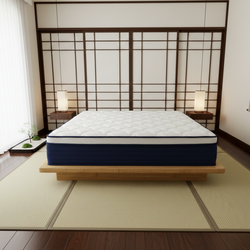 New King Size Pillow Top Mattress