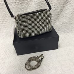 Alexander Wang heiress pouch in crystal mesh