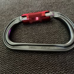 Petzl Am’D carabiner