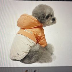 Small Dogs Coat 