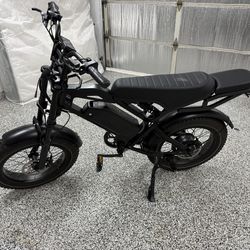 750 Watt Electric E-Bike