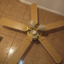 Ceiling Fan