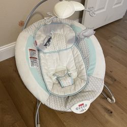 Bouncer Chair 