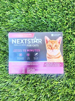 Cat Supplies
